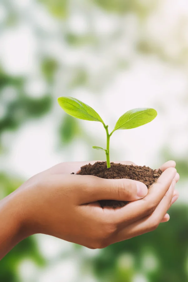 Mãos segurando uma muda de planta com terra, representando o pilar ambiental do ESG da Agropecuária Laffranchi